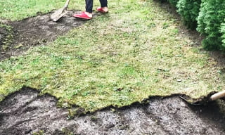 Снятие дерна старого газона в Димитровграде – от 517 руб. | 2Землекопа-Дмт